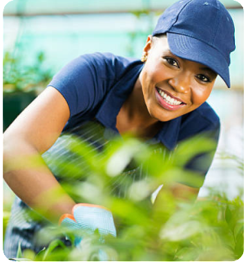 agro farmer