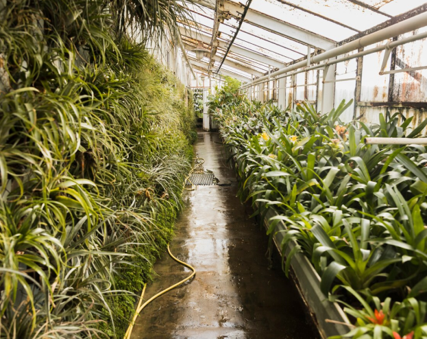 greenhouse image